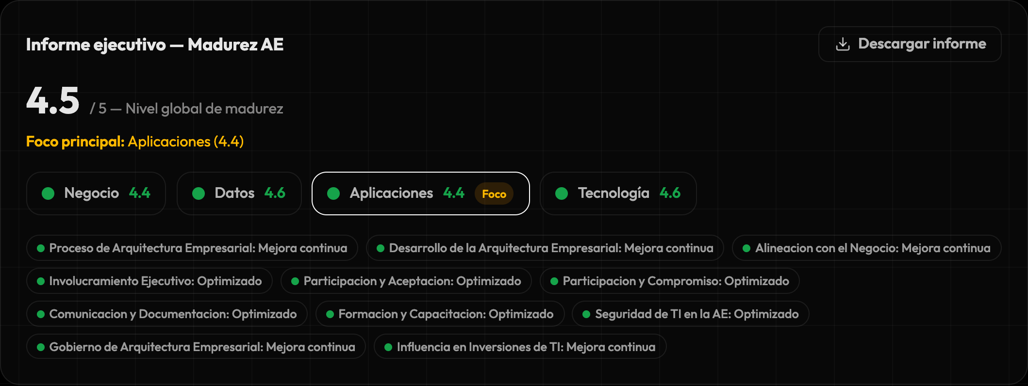Resumen del informe ejecutivo